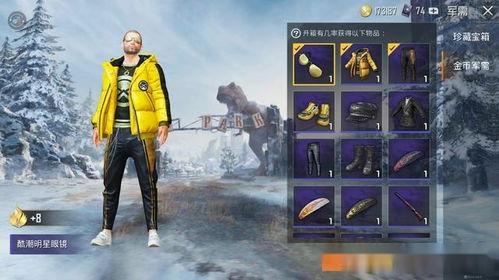 吃鸡军需币皮肤爆料最新,神秘皮肤即将亮相,军需币价值再升级!